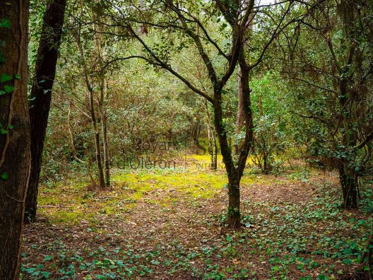 Terrain Les Mathes - 1550m²