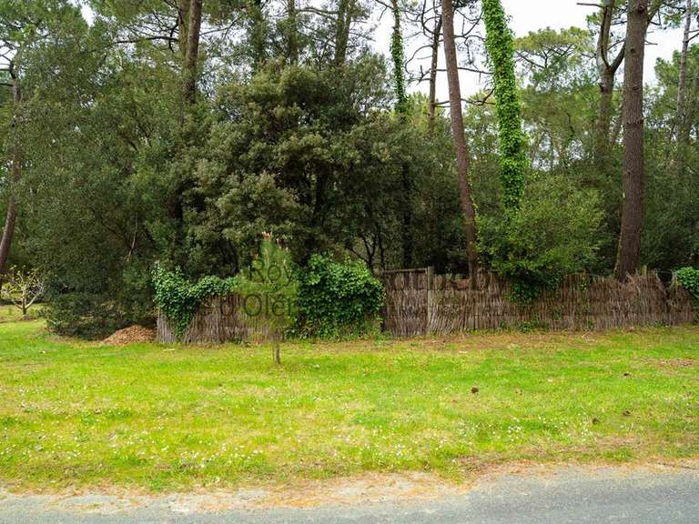 Terrain Les Mathes - 1550m²