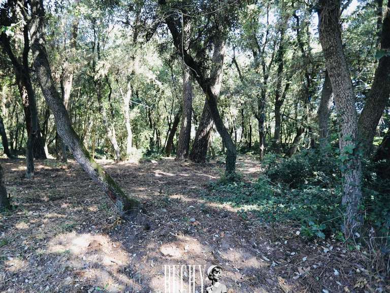 Terrain Les Sables-d'Olonne