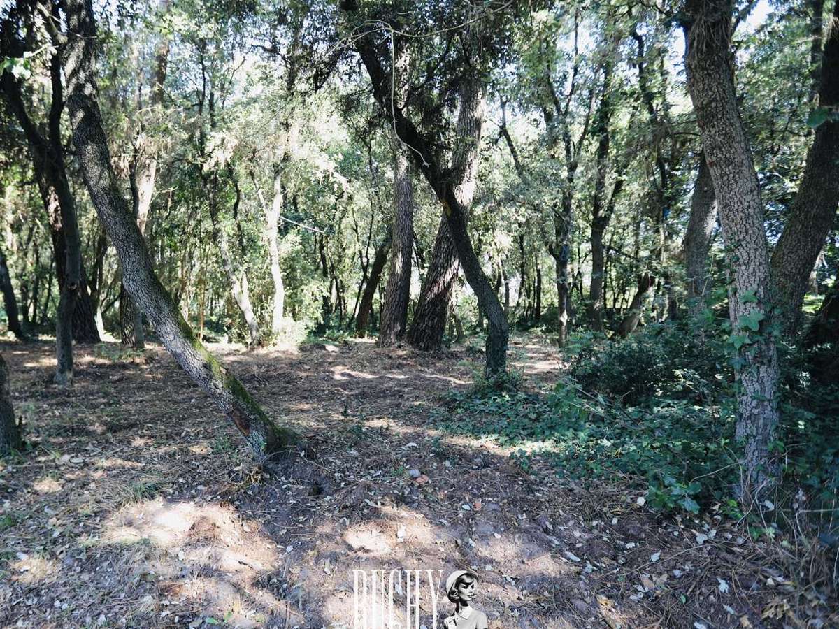 Terrain Les Sables-d'Olonne