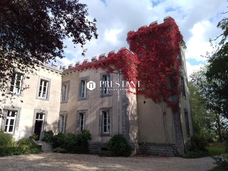 Property Lessac - 9 bedrooms - 540m²