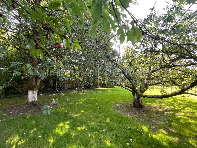 Maison Lewarde - 5 chambres - 275m²