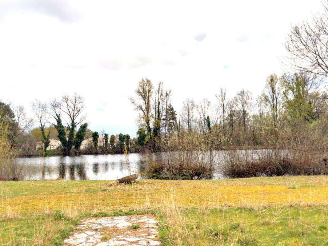 Property Libourne