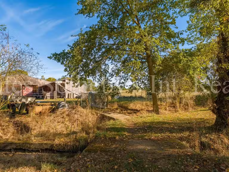Propriété équestre Ligné - 4 chambres - 222m²