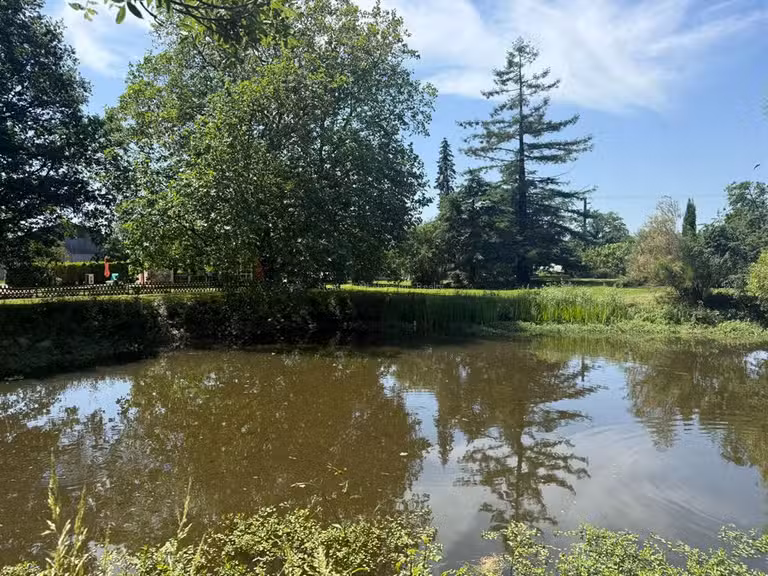 Propriété équestre Ligné - 4 chambres - 222m²
