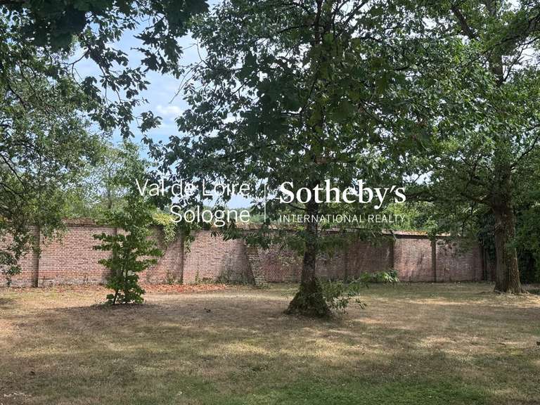 Maison Ligny-le-Ribault - 14 chambres - 644m²