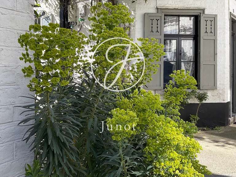 Maison Lille - 3 chambres - 90m²