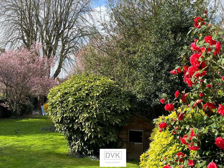 Maison Lille - 6 chambres - 316m²