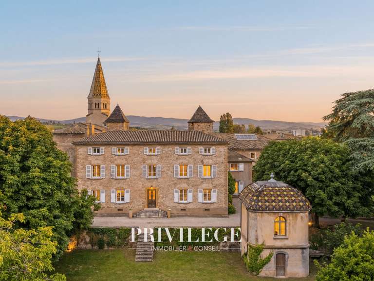 Maison Limas - 12 chambres - 1200m²
