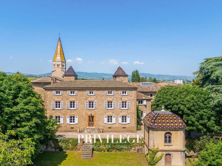 Maison Limas - 8 chambres - 520m²