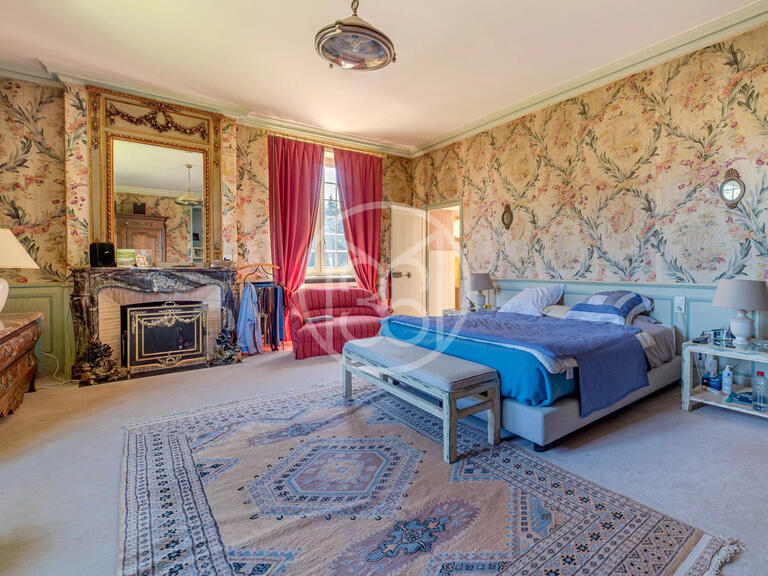 Sale Castle Limoges - 7 bedrooms