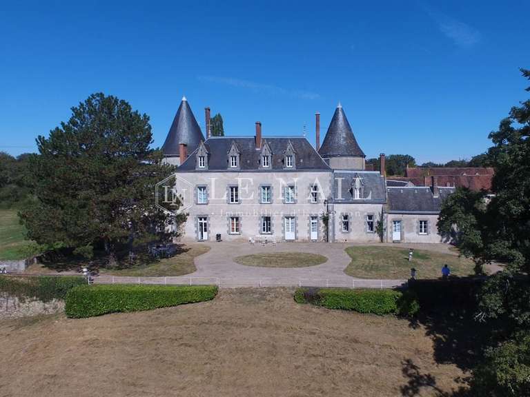 Château Limoges - 7 chambres - 400m²