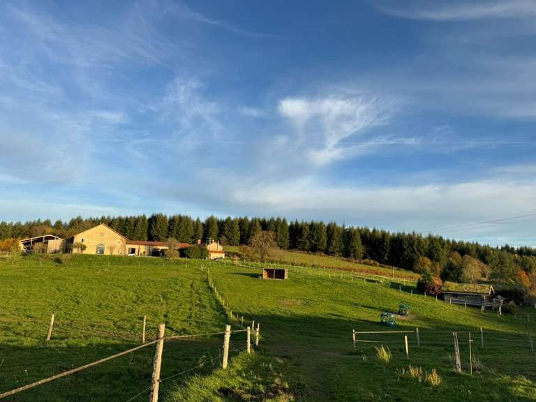 Maison Limoges - 371m²