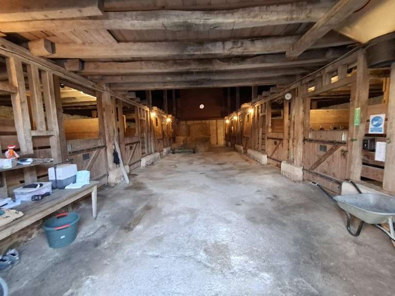 Maison Limoges - 371m²