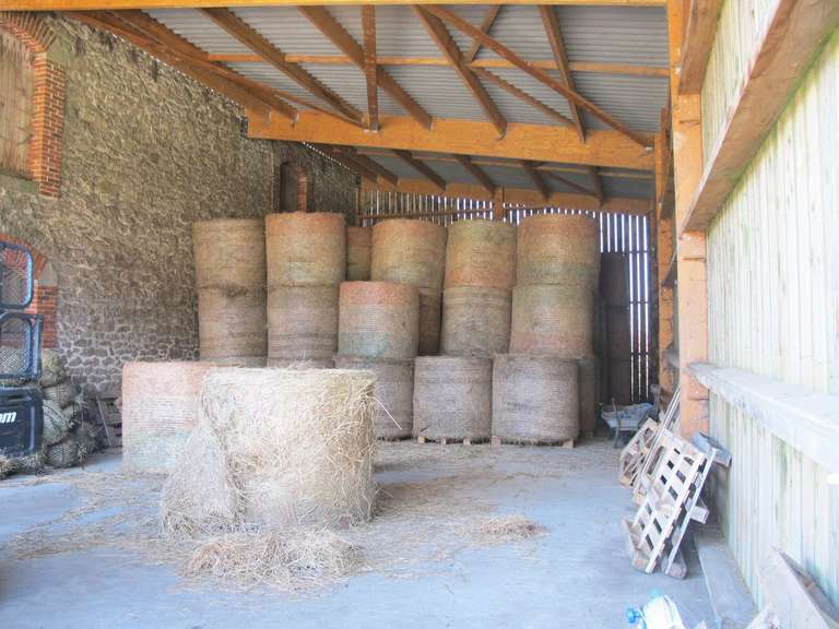 Maison Limoges - 371m²