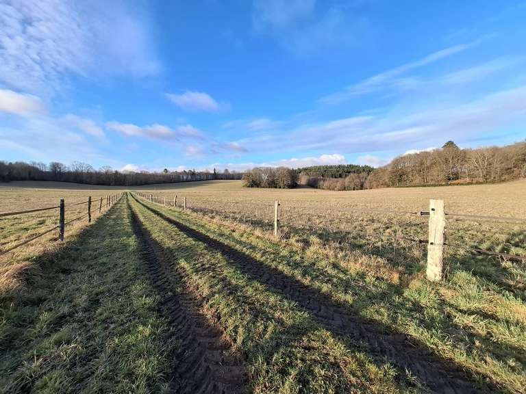 Maison Limoges - 371m²