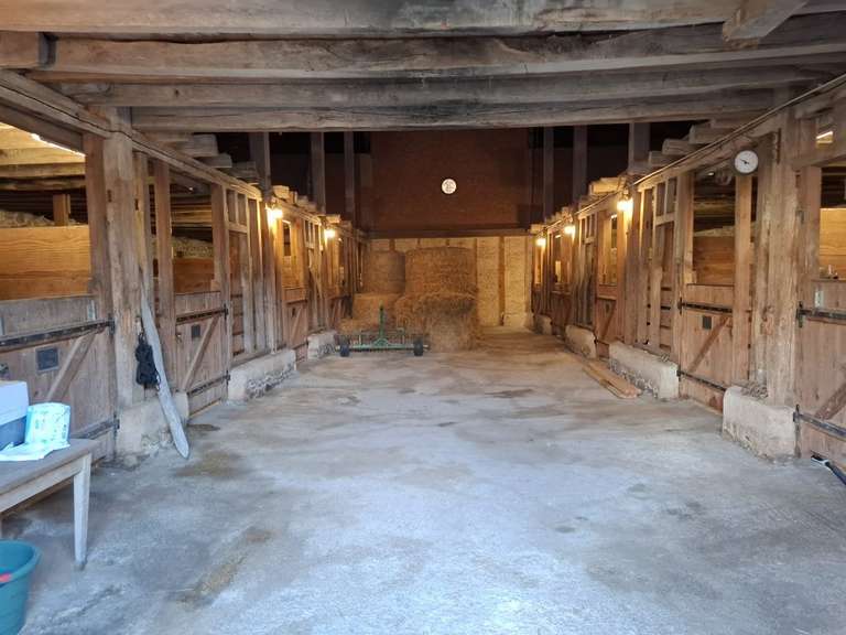 Maison Limoges - 371m²