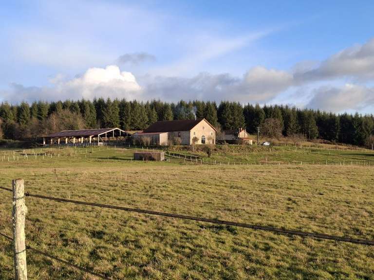 Maison Limoges - 371m²