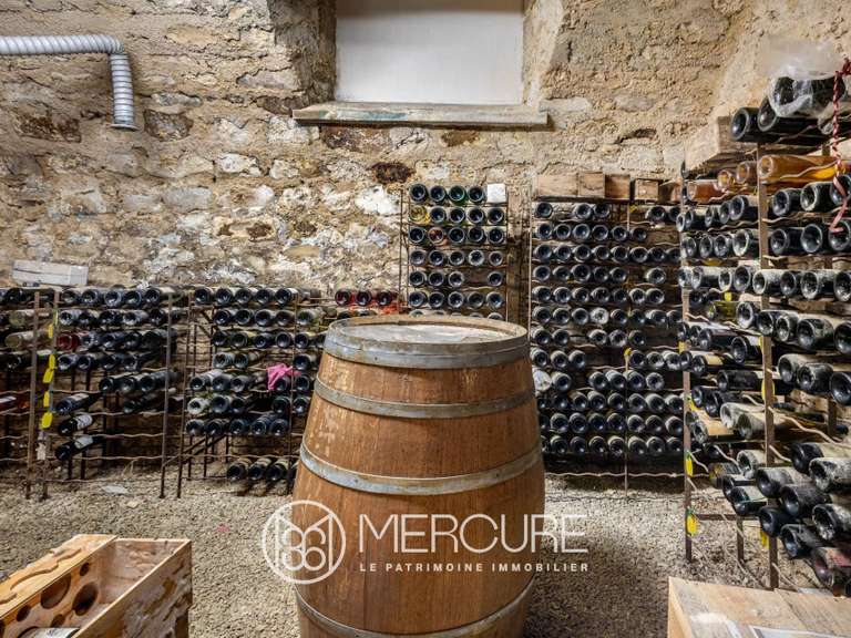 Property Limoges - 360m²