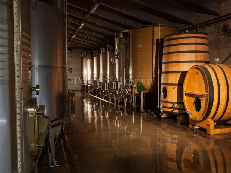 Domaine viticole Limoux - 14 chambres - 750m²