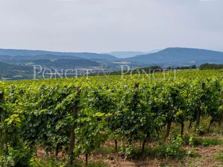 Domaine viticole Limoux - 14 chambres - 750m²