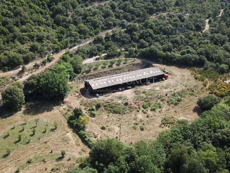 Propriété Limoux - 5 chambres - 1094m²