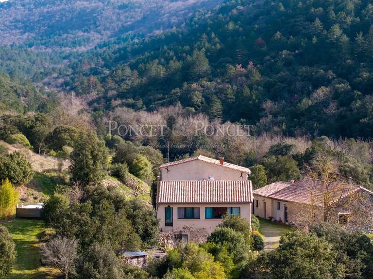 Propriété Limoux - 5 chambres - 1094m²