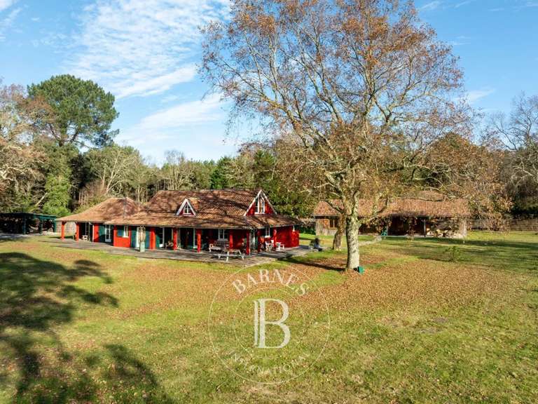 Maison Linxe - 8 chambres - 390m²