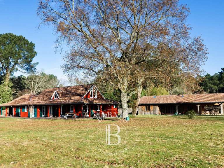 Maison Linxe - 8 chambres - 390m²