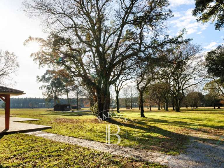 Maison Linxe - 8 chambres - 390m²