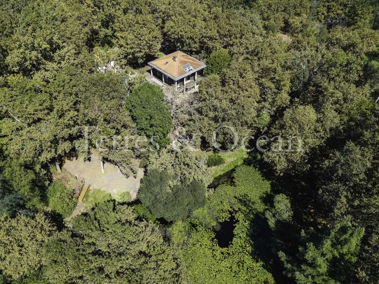 Maison Linxe - 4 chambres - 137m²