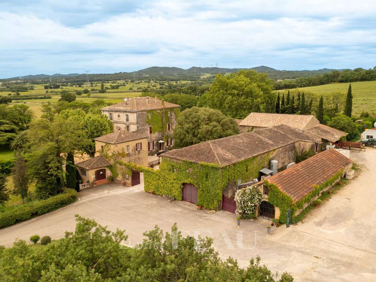 Vineyard Lirac