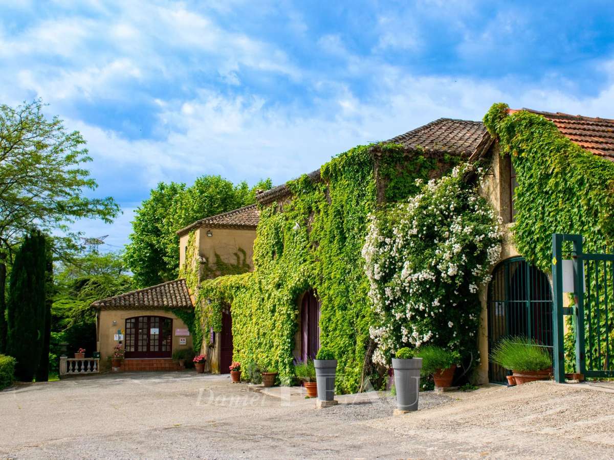 Vineyard Lirac