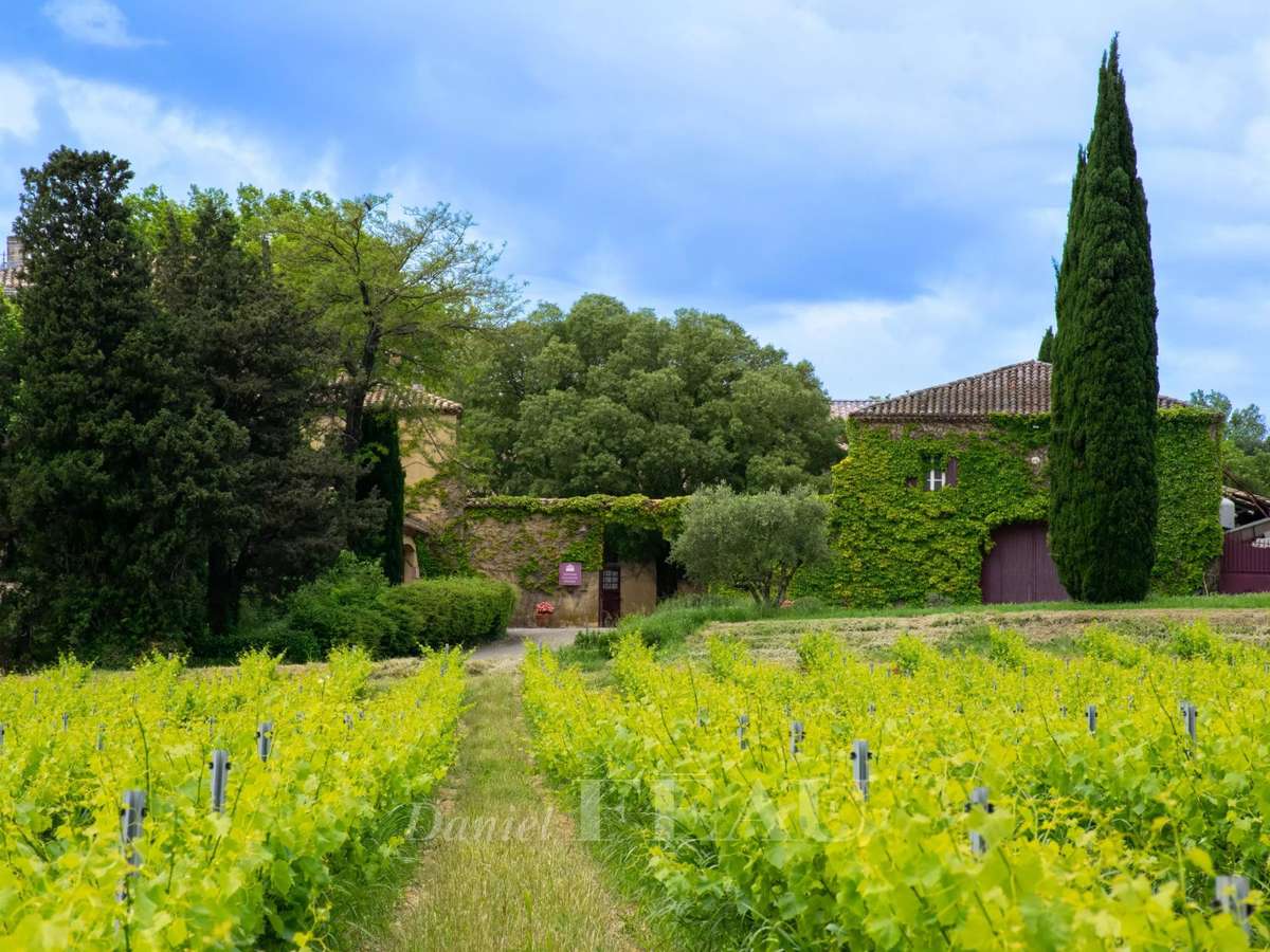 Vineyard Lirac