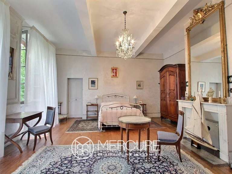 Castle Lissac - 12 bedrooms - 640m²