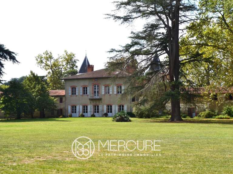 Castle Lissac - 12 bedrooms - 640m²
