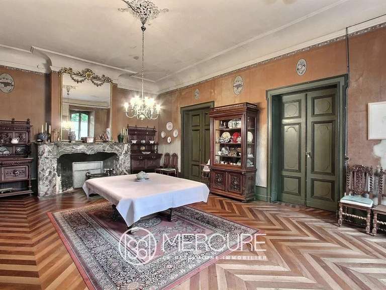 Castle Lissac - 12 bedrooms - 640m²