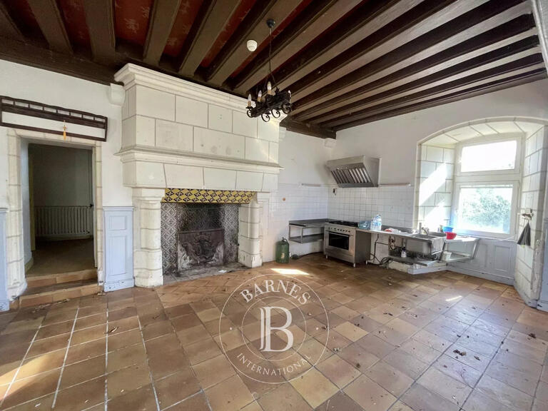 Castle Loches - 16 bedrooms - 2500m²