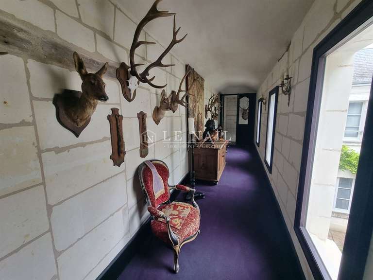 Hôtel particulier Loches - 5 chambres - 350m²