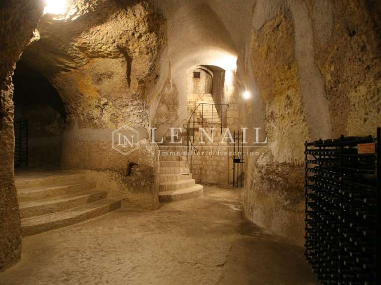 Maison Loches - 7 chambres - 240m²