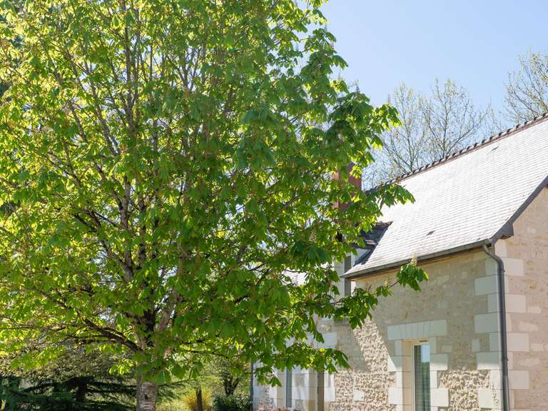 Maison Loches - 7 chambres - 249m²