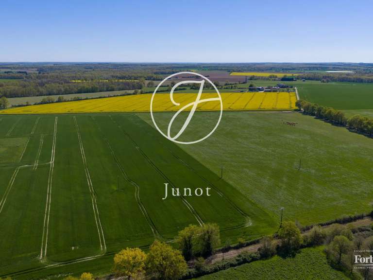 Propriété Loches - 8 chambres - 263m²