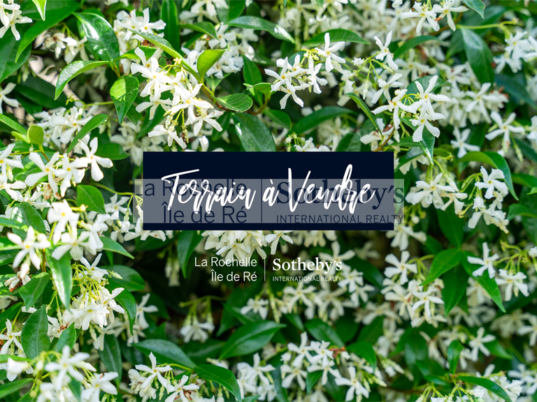 Terrain Loix - 1200m²