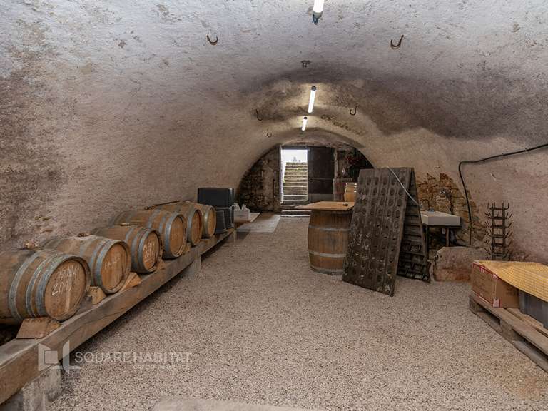 Maison Lons-le-Saunier - 4 chambres - 286m²