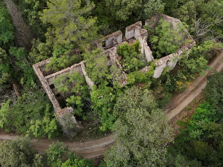 Domaine viticole Lorgues - 5 chambres - 300m²