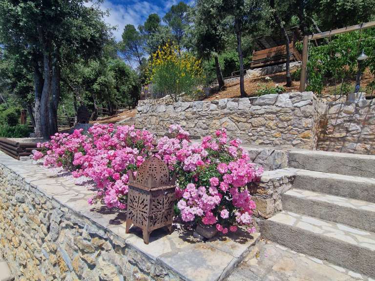 House Lorgues - 8 bedrooms - 236m²