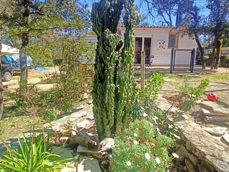 House Lorgues - 5 bedrooms - 115m²