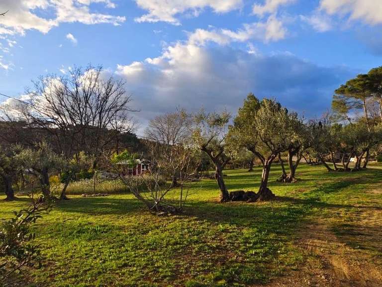 Maison Lorgues - 4 chambres - 400m²