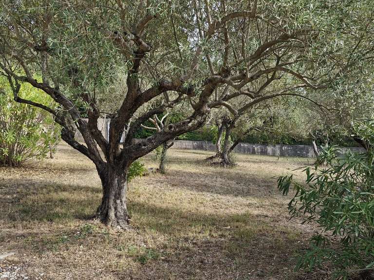 Maison Lorgues - 5 chambres - 230m²