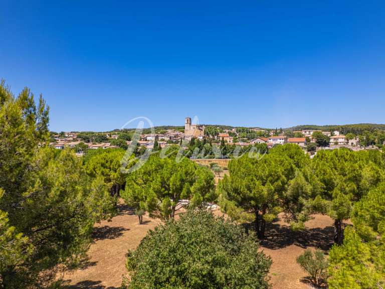Maison Lorgues - 15 chambres - 690m²